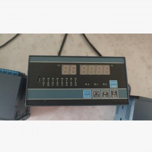 温度巡检仪输入(带变送输/出带通讯) 型号:ZX/HAKK-500A08HLS库号：M411856