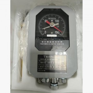 变压器油面温控器 型号:WZX/BWY-804A(TH)库号：M414996