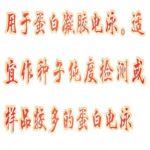 双板夹芯式垂直仪 型号:BL61-DYCZ-30C库号：M407135 