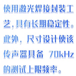 自由场型测量传声器 型号:BX33-SA405F库号:M411497 自由场型测量传声器 型号:BX33-SA405F库号:M411497