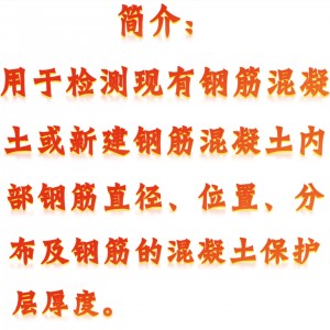 钢筋位置测定仪 型号:CC01-SZ-R51T+库号：M310717