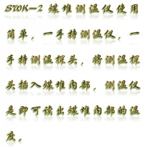 煤堆测/温/仪 (3米) 型号:CZ07-SWK-2库号：M407087