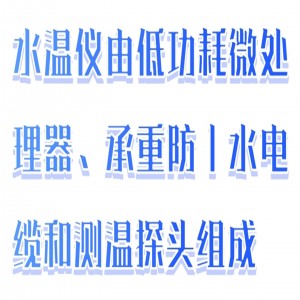 数字温仪 型号:DLW01-WTR-2库号:M411339 数字温仪 型号:DLW01-WTR-2库号:M411339