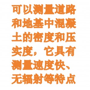 混凝土无核仪（单色屏） 型号:GTJ-CWH库号：M411720