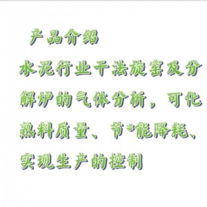 水泥行业在线气体分析系统/水泥气体分析系统 型号:GY088-GDF-4000库号：M20010 