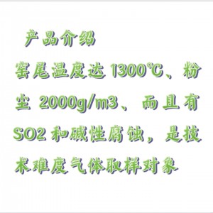 水泥行业在线气体分析系统/水泥气体分析系统 型号:GY088-GDF-4000库号：M20010 
