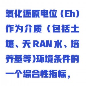 土壤氧化还原电位仪/氧化还原电位(ORP)去极化法自/动测定仪 型号:GZ010/FJA-6库号：M400752 