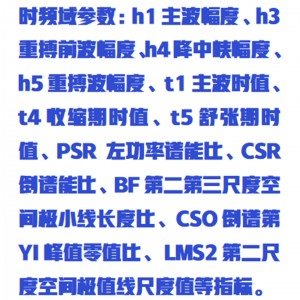 脉象仪-教学用 型号:HFD-MXY-WD库号：M411355   