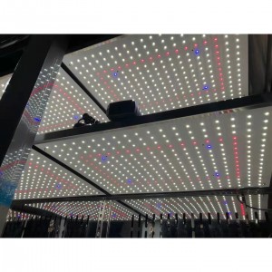 冷光源光照培/养/箱 型号:HH01-LGZ-1000-LED库号：M415312   