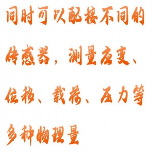 动静态电阻应变仪 型号:HH01-XL2101DS16库号：M415578  