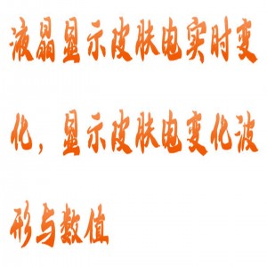 皮肤电测试仪 型号:HK01-HFD-V-PFD2库号:M415343 皮肤电测试仪 型号:HK01-HFD-V-PFD2库号:M415343