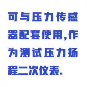 压力扬程测量仪 型号:HW5-P-H库号：M167062