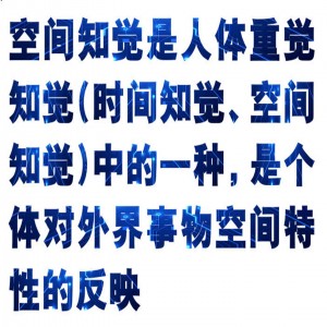 时间知觉测试仪 型号:HX03-EP504库号：M413010  