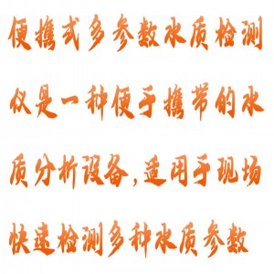 便携式多参数测定仪 型号:HX03-SDl-800库号：M414959 