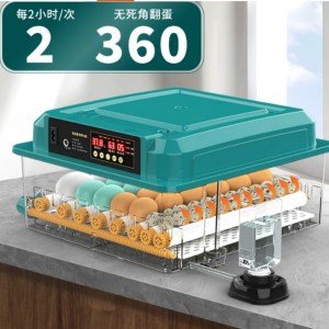 孵化器/孵蛋器/自/动孵化机 176枚双电 型号:HZO11-176库号：M51653