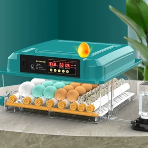 孵化器/孵蛋器/自/动孵化机 176枚双电 型号:HZO11-176库号：M51653