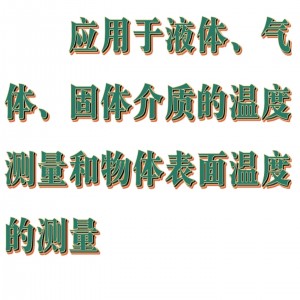 温度表/温度计 型号:JK08-TM-1310库号:M325014 温度表/温度计 型号:JK08-TM-1310库号:M325014