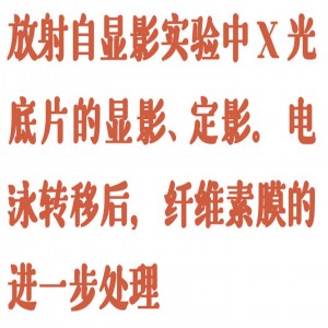 转移翘板摇床 型号:JQ01-BETS-M5库号：M388838 
