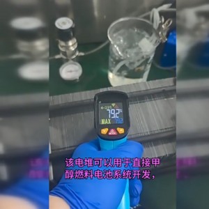甲/醇燃料电池 定/做 型号:LO899-300W库号：M51648  