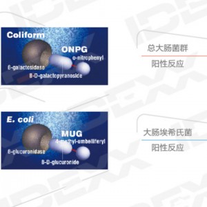 爱德士科立得两虫滤芯 型号:LO999-Colilert库号：M57973 