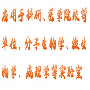 旋转混匀仪 型号:M300-BE-1300库号：M389992   