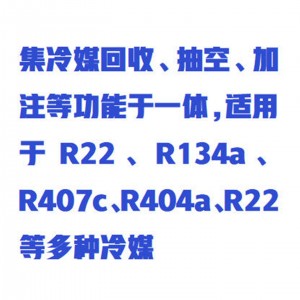 L冷媒回收、抽空一体机/空调冷媒体充放装置 型号:M401239库号：M401239