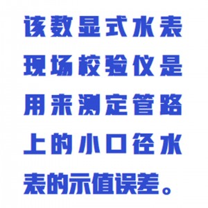 便携式水表现场测试仪/便携式水表校/验仪型号:M410864库号：M410864 