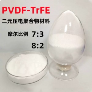 聚和物压电材料粉末/分子聚偏氟/乙/烯共聚物压电薄膜 1KG 型号:OO77-PVDF-TrFE库号：M58003 