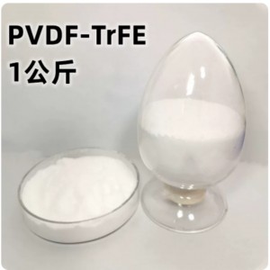聚和物压电材料粉末/分子聚偏氟/乙/烯共聚物压电薄膜 1KG 型号:OO77-PVDF-TrFE库号：M58003 