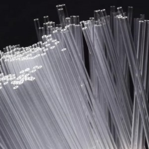 美国WPI玻璃毛细管 型号:PI11-100mm库号：M20520 