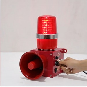 声光组报/警器 型号:PI11-SJ-2库号：M21568  