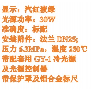 石英管双色位计 型号:RDB69-SW10-20库号：M410967 