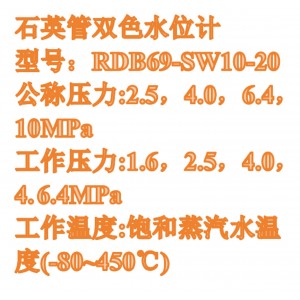 石英管双色位计 型号:RDB69-SW10-20库号：M410967 