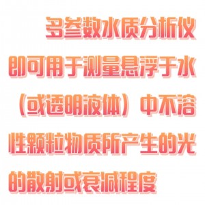 泳池快/速检/测仪 型号:SX03-DZ-2Y库号：M403419