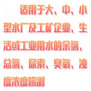 泳池快/速检/测仪 型号:SX03-DZ-2Y库号：M403419