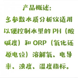 多参数检/测仪 型号:SX24-XZ-0207库号：M365144 