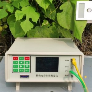 光和作用测定仪 型号:SY-2020库号：M330891