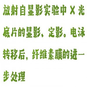 脱色摇床 型号:SZJL5-KB-2B库号：M385808 