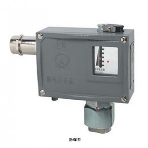 防爆机械式压力开关 型号:TL0102.50-108117库号：M532