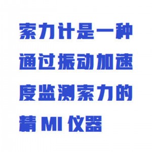 索力计 量程±2g 型号:WB-V60/BGK8860QS库号：M413808  