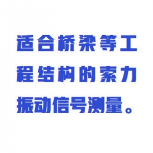 索力计 量程±2g 型号:WB-V60/BGK8860QS库号：M413808  