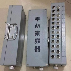 线箱/12通道集线箱(12通道）型号:WYG18/ZXJXX-12T库号：M411998