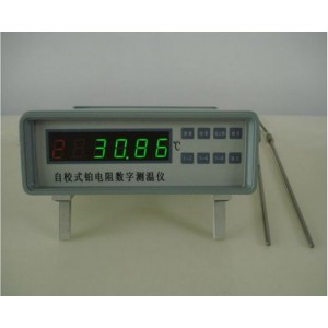 自/动校准式铂电阻测/温仪/自校式铂电阻数字测/温仪/测/温仪  型号:WYHC6/RCY-3D库号：M411914