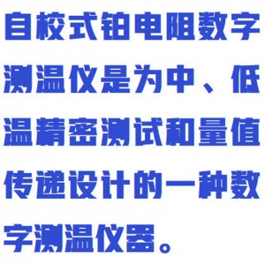 自/动校准式铂电阻测/温仪/自校式铂电阻数字测/温仪/测/温仪  型号:WYHC6/RCY-3D库号：M411914