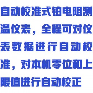 自/动校准式铂电阻测/温仪/自校式铂电阻数字测/温仪/测/温仪  型号:WYHC6/RCY-3D库号：M411914