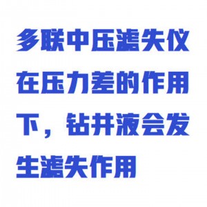 多联中压滤失仪 型号:WYHT03/ZXLSY-6L库号：M412295 