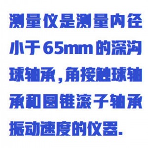 轴承振动速度测量仪/轴承振动测量仪 型号:WYR01-ZXB-V-T-1库号：M411569  