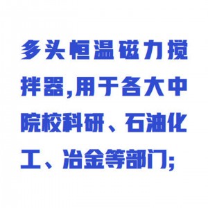 多头恒温磁力搅拌器/2联磁力搅拌器  型号:WYRH01/JBQ-2库号：M412839 