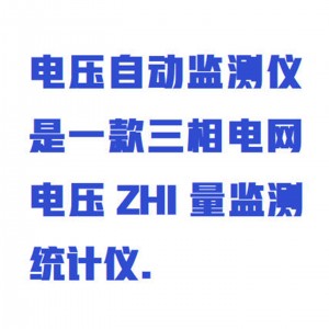 电压监/测仪/电压自/动监/测仪 型号:WYXD03/ZXDYJC-1库号：M412127