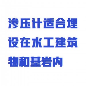 振弦式渗压计 型号:WZX/BGK-4500S库号：M414524 